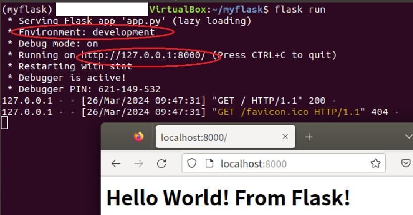 Flask Environment Variables